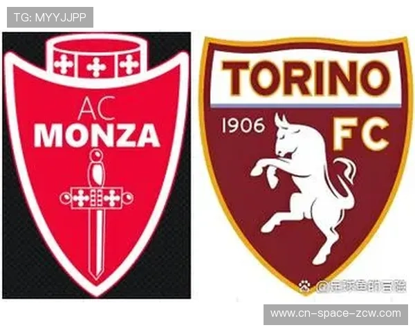 多家意甲俱乐部升级球场设备，增强比赛数据收集能力